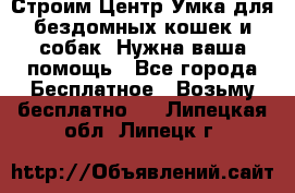 Строим Центр Умка для бездомных кошек и собак! Нужна ваша помощь - Все города Бесплатное » Возьму бесплатно   . Липецкая обл.,Липецк г.